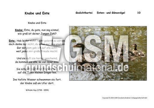 Knabe und Ente-Hey.pdf